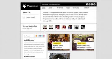 Teamster – WooThemes Premium wordpress theme