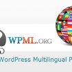 WPML-v3 1 4-The-WordPress