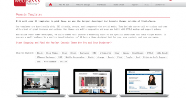 Genesis – 收费商业子主题，来至web-savvy-marketing.com[2015.4]
