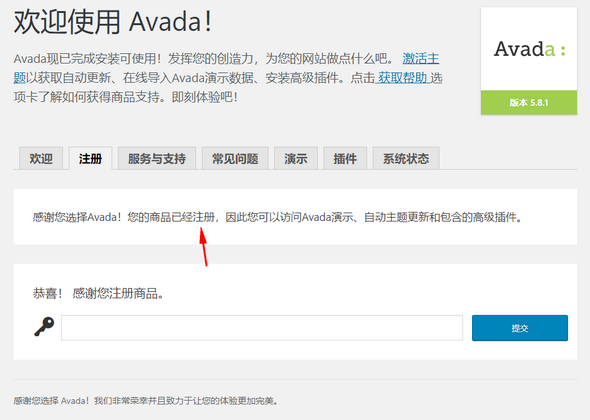 Avada 高级商业主题完全破解汉化版[5.8.2]